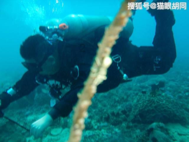 【丽教读书219】朱潇琛:《读史读到伤心处》——从才子佳人看学校教育